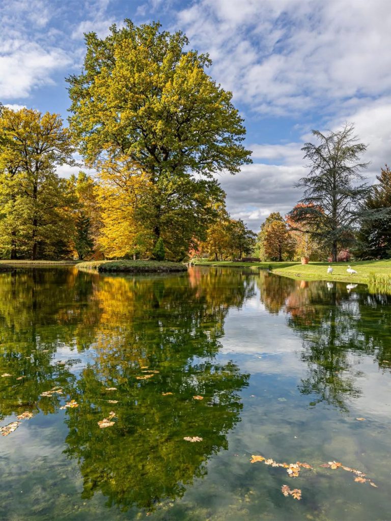 Im-Rahmen-der-Sanierung-eines-denkmalgeschützten-Landhauses,-ist-Wohnraum-in-gehobenem-Segment,-1